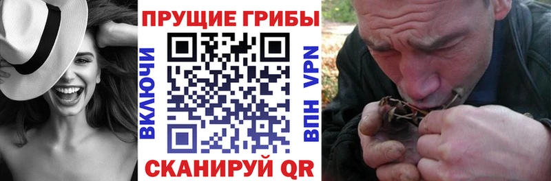 Галлюциногенные грибы ЛСД  Павловская 
